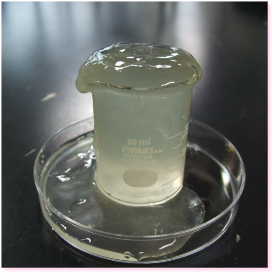 スイゼンジノリ抽出成分